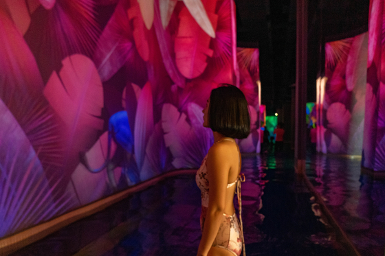 Another feature that makes Ananti Cove's Water House unique is its media art walls that resemble the rainforest. [BAEK JONG-HYUN]