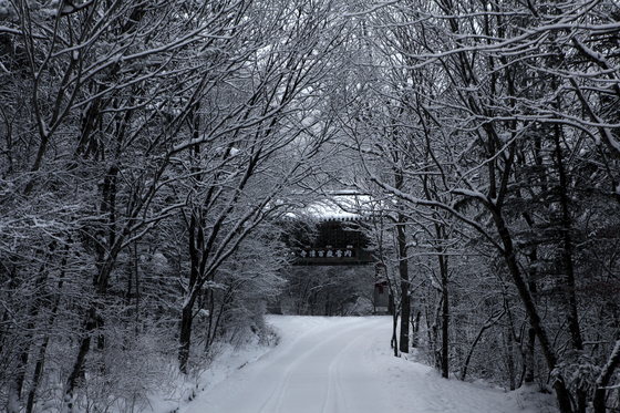 A trail near Baekdam Temple [CULTURAL CORPS OF KOREAN BUDDHISM]