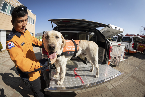 Firefighter Kim Cheol-hyun and rescue dog Tobaek [JUN MIN-KYU] 