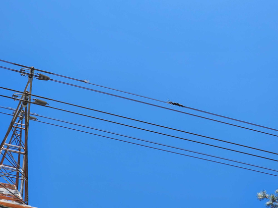 Parts of an electric cable near the accident site are seen damaged. [YONHAP] 