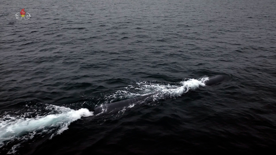 A photo that ran in North Korea’s official Rodong Sinmun and aired by Korean Central Television on Saturday shows the regime testing an “underwater nuclear attack drone” called Haeil-2 last week. [YONHAP]
