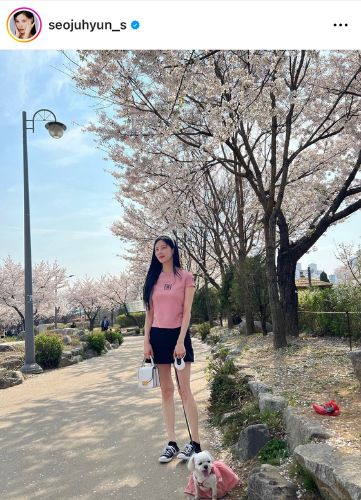 Seohyun of Girls' Generation dressed similiary to her dog on her Instagram feed. [SCREEN CAPTURE]