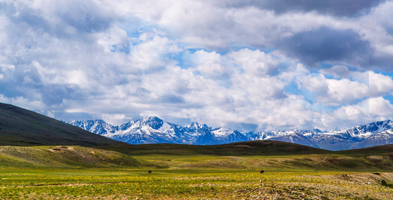 Deosai National Park in Pakistan [SHUTTERSTOCK]