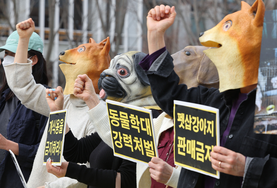 Animal rights activists hold a rally at Gwanghwamun Square in central Seoul on March 23, calling for appropriate punishment for the person responsible for the deaths of more than 1,000 cats and dogs. [YONHAP]