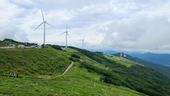 Yukbaekmajigi, Pyeongchang County, Gangwon, is one of the major summer destinations of the county. [YONHAP]