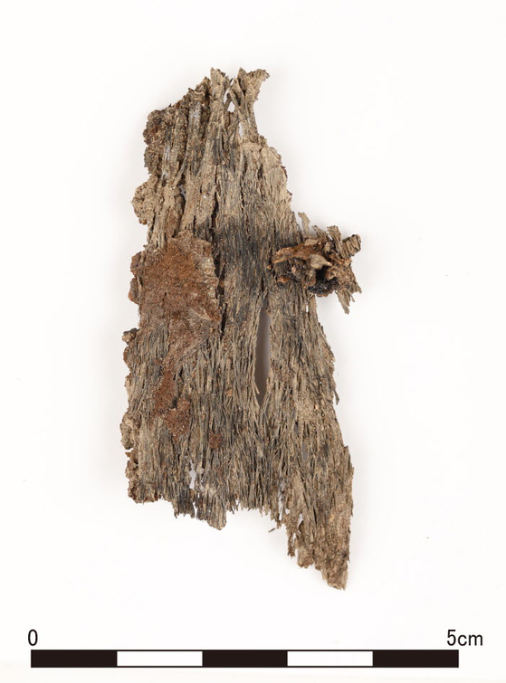 A trace of fabric was discovered on the remnants of the gilt-bronze crown and it was revealed that the fabric was wrapping several strands of hair. [GNIRCH] 