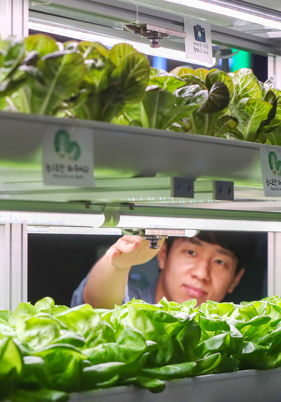 An AI smart farm solution goes on display at Agri & Food Tech Start-up Rising Expo 2023 (AFRO 2023) held at Coex, southern Seoul, on Wednesday. AFRO 2023 is a three-day exhibition with 250 related companies and institutions scheduled to participate. [NEWS1]