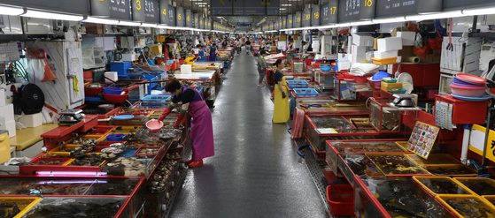 Busan's iconic Jagalchi Market is empty on Wednesday, a day before treated radioactive water from the Fukushima Daiichi nuclear power plant is released. [NEWS1] 