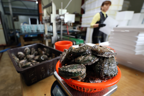 Abalones are cleaned before shipping at Wando County, South Jeolla, on Wednesday. [YONHAP] 
