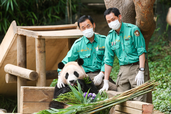 Giant panda Fu Bao takes a photo with zookeepers Kang Cheol-won and Song Young-gwan at Everland in Yongin, Gyeonggi, on Tuesday. [NEWS1]