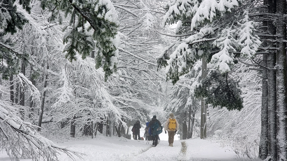 Visitors to Gangwon's highland Daegwallyeong area in Pyeongchang County walk on snow on Tuesday. Heavy snow advisories were issued in the area on the same day. [YONHAP] 