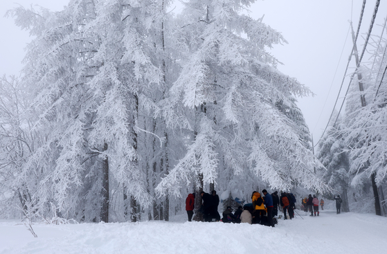 Visitors at Gangenung’s Daegwallyeong mountain pass last month. The mountain is a famous hiking trail all year round. [YONHAP] 