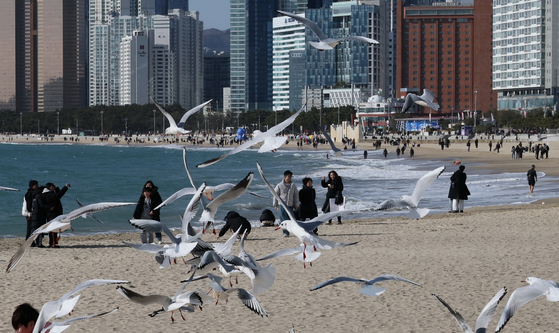 People visit Haeundae Beach in Busan to enjoy the spring-like weather on Sunday. [SONG BONG-GEUN] 