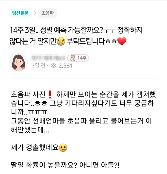 An expectant mom at week 14 of her pregnancy asks online community members to help her predict the sex of the unborn on Mommytalk, a community for expectant parents. [SCREEN CAPTURE]