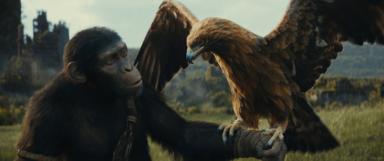 A still from ″Kingdom of the Planet of the Apes″ [WALT DISNEY COMPANY KOREA]