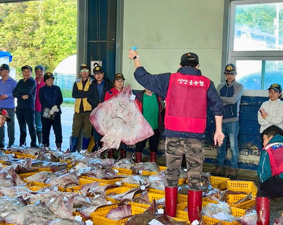 An auctioneer takes bids on freshly caught hongeo at a Heuksan Island warehouse on May 10. [LEE JIAN] 