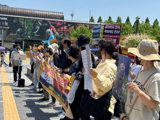 Approximately 40 protesters demand the cancellation of a decision to make Taebaek a taxidermy specimen on May 19 in front of Seoul Grand Park in Gwacheon, Gyeonggi. [PENZA]