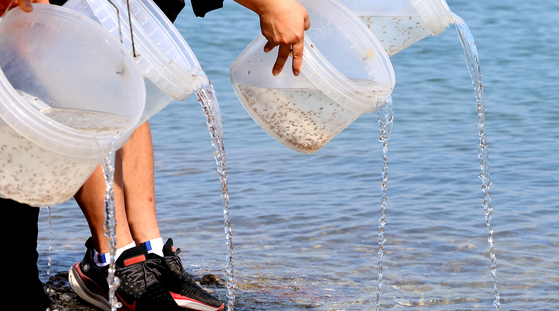 Employees from Incheon's Fisheries Resource Development Research Institute release around 1.4 million blue crab hatchlings into the Eurwang waters of the Yellow Sea on Monday. [YONHAP]
