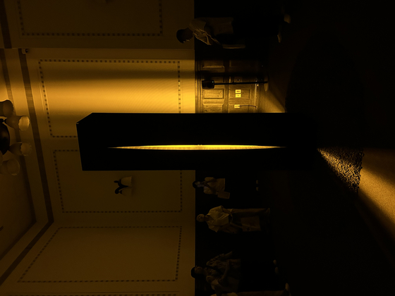 ″Echo″ by d'strict [SHIN MIN-HEE]