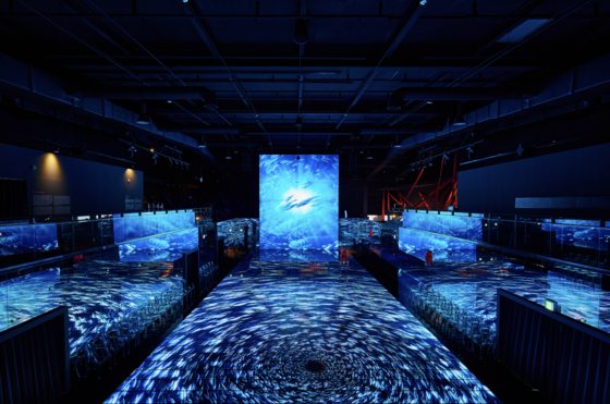 The digital display at Museum 1 in Haeundae District, Busan, offers an immersive experience away from the rain. [MUSEUM 1]