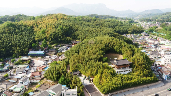The Juknokwon bamboo forest in Damyang County, South Jeolla, is known for its greenery and unique view of bamboo trees. [JUKNOKWON]
