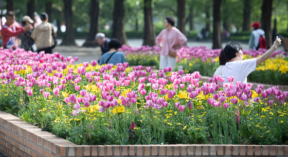 Visitors to this year's Goyang International Flower Festival, one of the largest flower festivals in Korea, take pictures. This year, the event was held from April 26 to May 12. [NEWS1]