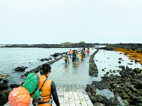 Haenyeo walk along the trail in Hado-ri, Gujwa-eup, Jeju City in Jeju Island, preparing for their dive in February. [JOONGANG ILBO]