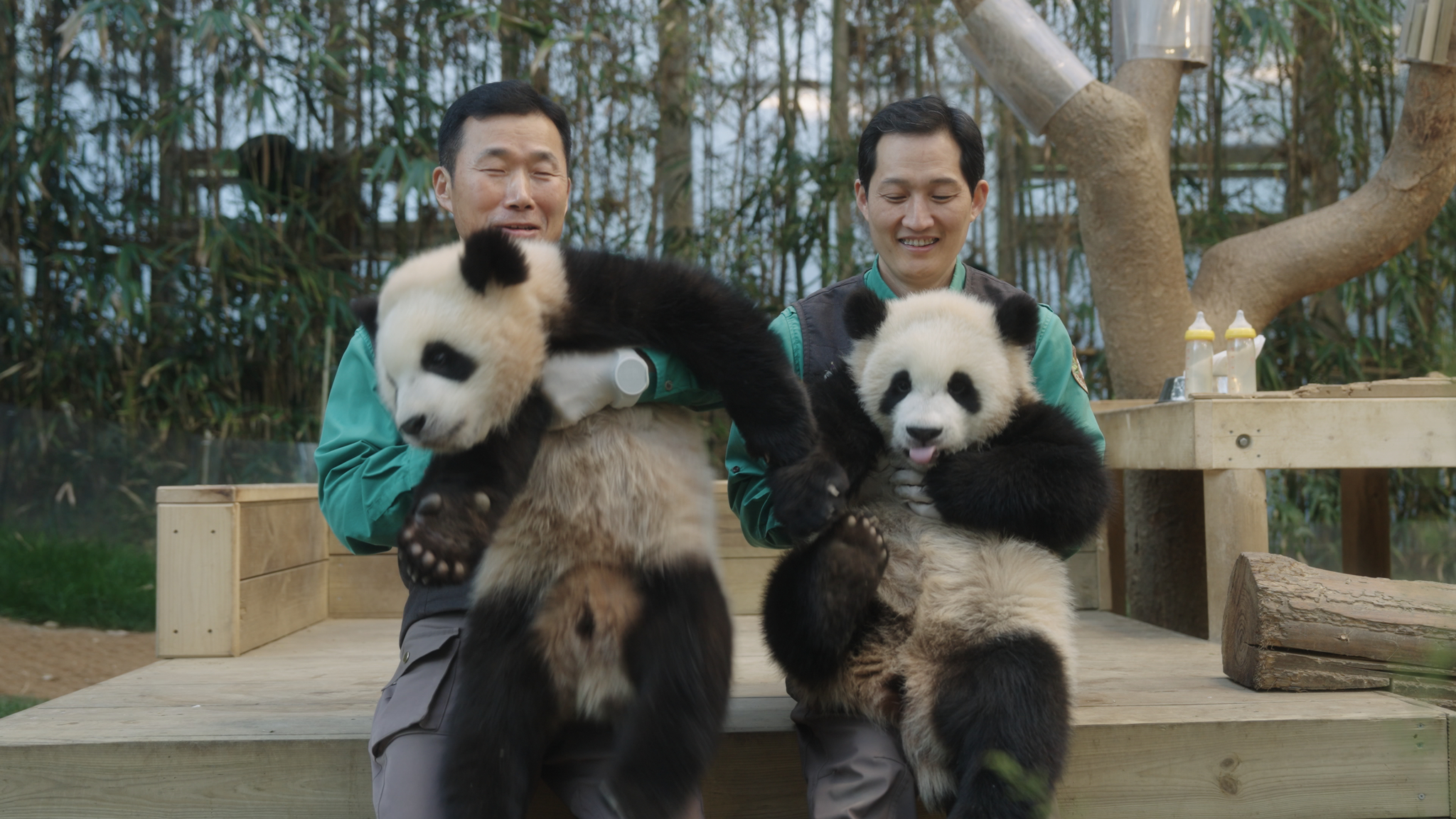 Still cut from upcoming film ″My Dearest Fu Bao″ [ACOMMZ/EVERLAND RESORT]