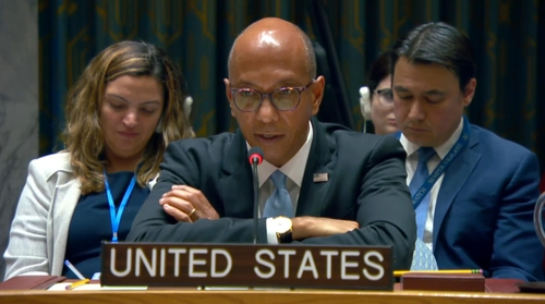 Robert Wood, deputy U.S. ambassador to the U.N., speaks during a U.N. Security Council session in this photo captured from U.N. Web TV. [SCREEN CAPTURE]