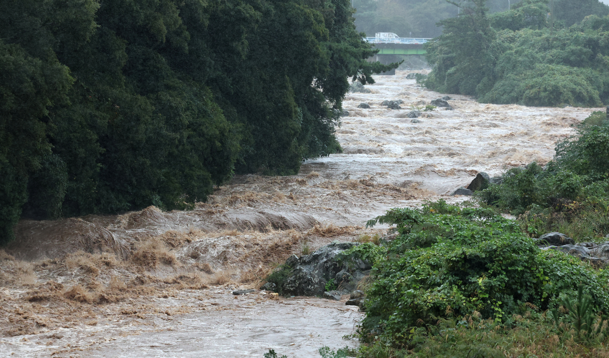 A stream in Jeju on Nov. 1, amid heavy rain. [YONHAP] 