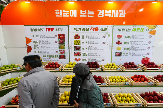 Apples are on display at the Gyeongbuk Apple Festival at Seoul Plaza in central Seoul on Monday. [YONHAP]