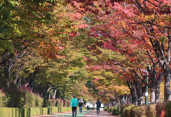 Pedestrians stroll beneath the trees in vibrant autumn hues at Geumjeong Sports Park in Busan on Monday. Experts have noted that this year's extreme summer heat has extended into autumn, delaying the start and peak of the autumn foliage. Leaves may drop before developing their rich colors, making it harder to fully enjoy the autumn scenery. [YONHAP]
