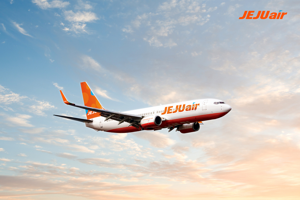A B737-800 passenger jet [JEJU AIR]