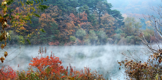 Mist rises due to the sudden drop in temperature from Soyang Lake in Inje County, Gangwon, over the last remnants of autumn foliage on Sunday. [YONHAP]