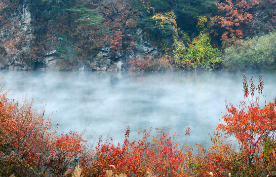 Mist rises due to the sudden drop in temperature from Soyang Lake in Inje County, Gangwon, over the last remnants of autumn foliage on Sunday. [YONHAP]