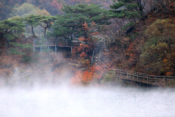 Mist rises due to the sudden drop in temperature from Soyang Lake in Inje County, Gangwon, over the last remnants of autumn foliage on Sunday. [YONHAP]