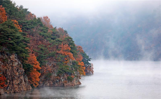 Mist rises due to the sudden drop in temperature from Soyang Lake in Inje County, Gangwon, over the last remnants of autumn foliage on Sunday. [YONHAP]