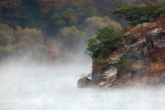 Mist rises due to the sudden drop in temperature from Soyang Lake in Inje County, Gangwon, over the last remnants of autumn foliage on Sunday. [YONHAP]