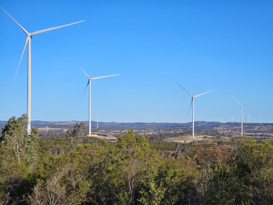 MacIntyre Wind Farm's wind farm in Queensland. Ark Energy has 30 percent stake in the farm. [KOREA ZINC]