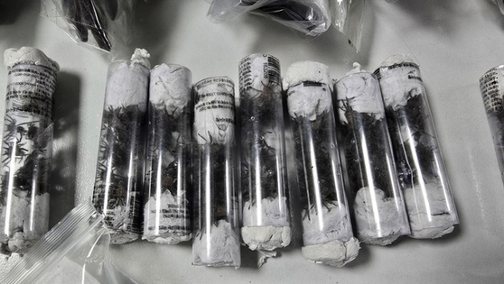 The spiders that the smuggler tried to bring onboard the plane headed for France on Nov. 8. [SERFOR]