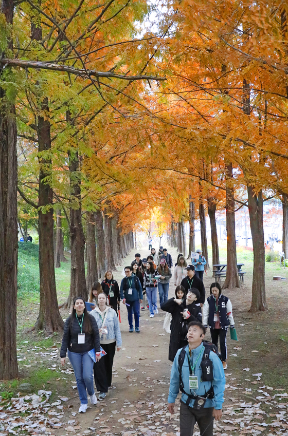 International students from Sungkyunkwan University’s Korean Language Center walk along the Metasequoia Road in Mapo District, western Seoul, on Thursday. [PARK SANG-MOON]