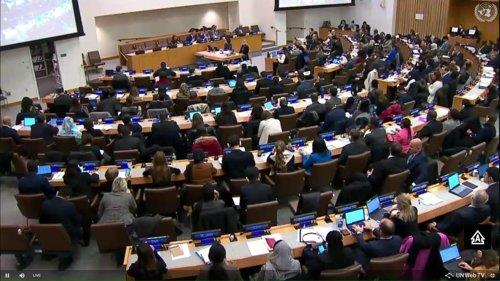 U.N. Third Committee meeting taking place at the U.N. headquarters in New York on Nov. 15, 2019. [SCREEN CAPTURE]