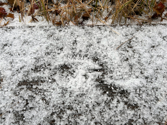 Hailstones piled up on the ground in Cheorwon County, Gangwon, on Tuesday [CHEORWON COUNTY GOVERNMENT]