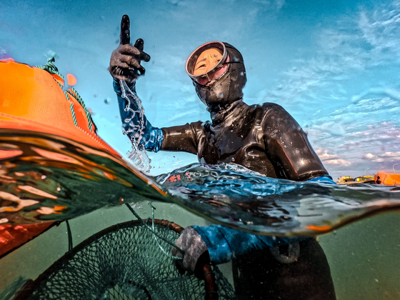 The Haenyeo Stay in Gimnyeong gives families an opportunity to dive with Jeju’s haenyeo [GO PRO]