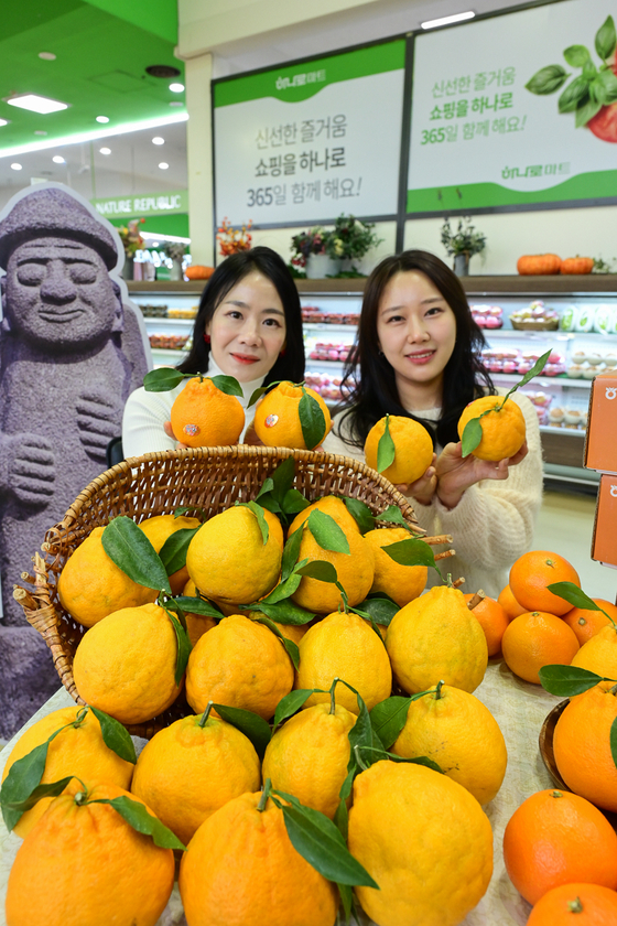 Models present tangerines from Jeju Island at a Nonghyup Hanaro Mart branch on Tuesday. [YONHAP]