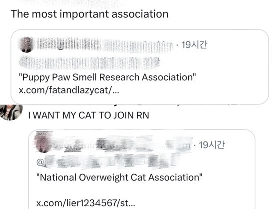International users on X respond to silly names of made-up organizations that participate in rallies calling for the impeachment of President Yoon Suk Yeol. [SCREEN CAPTURE]