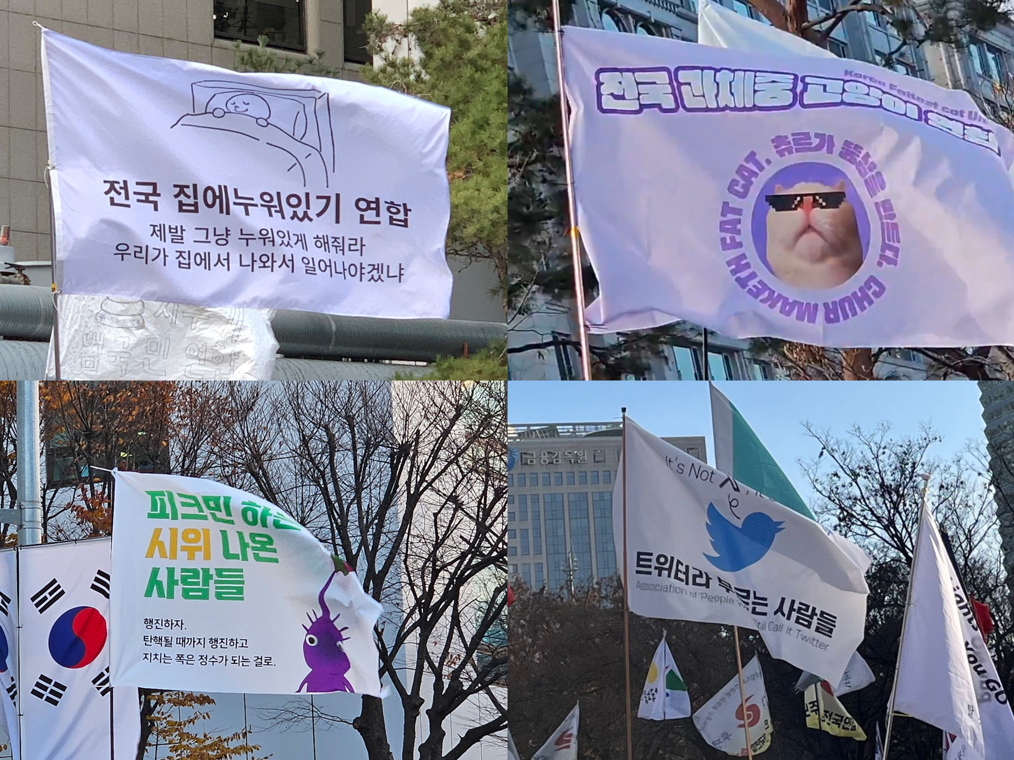 Flags feature silly names of made-up organizations at rallies held nationwide in Korea [SCREEN CAPTURE]