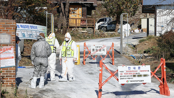 Officials block the entrance of a chicken farm in Incheon's Ganghwa County where the season's third case of highly pathogenic avian influenza was confirmed on Nov. 18. [YONHAP]. [YONHAP] 
