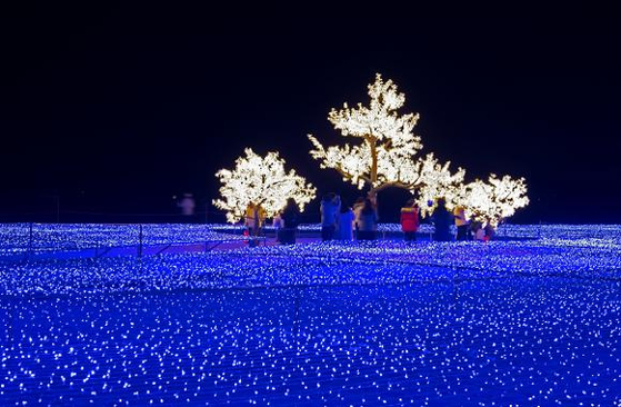 Haeundae Light Festival's highlight is the New Year's countdown event, scheduled to begin at 11 p.m. on Dec. 31, 2024. [HAEUNDAE LIGHT FESTIVAL]