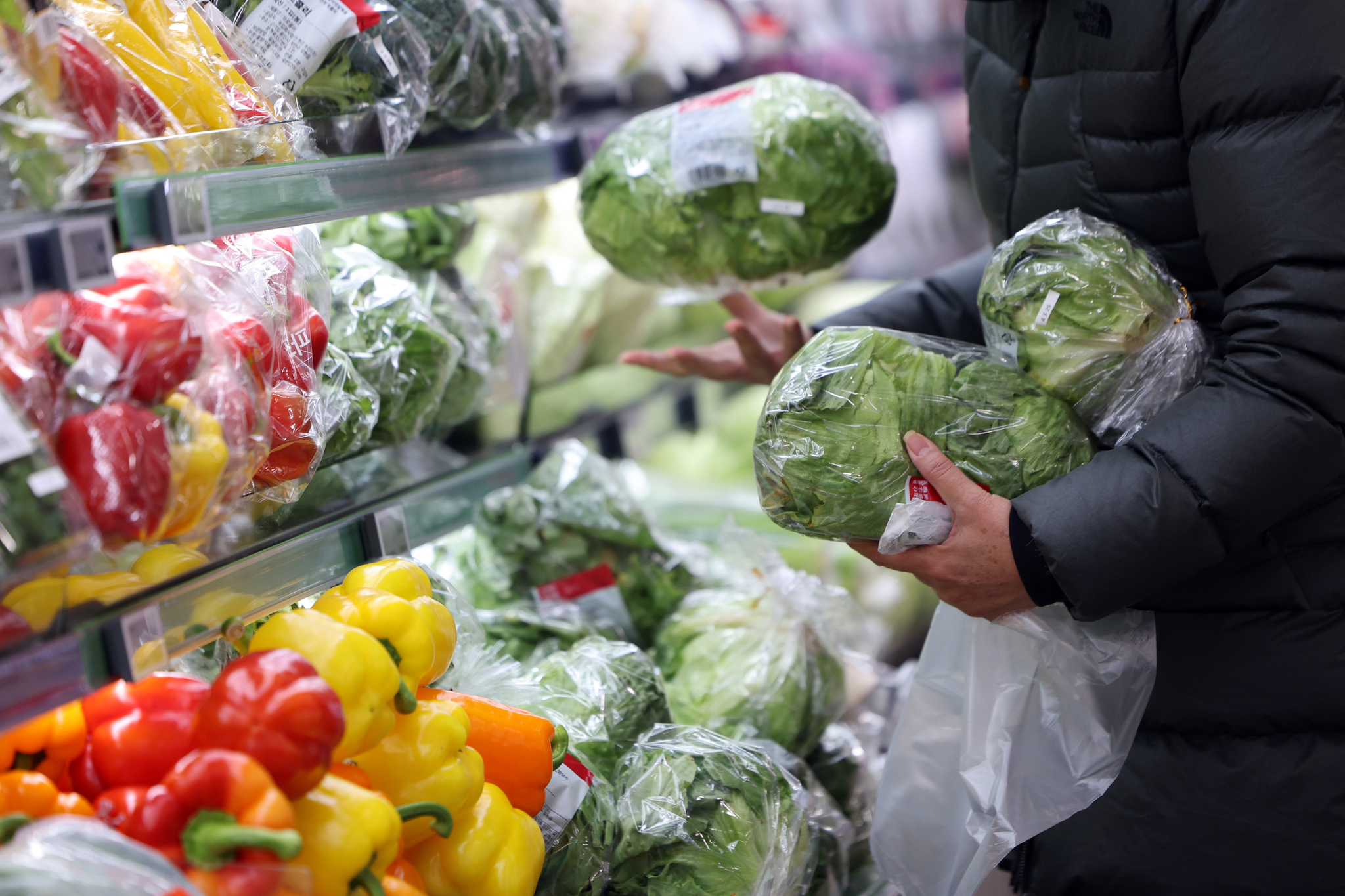 A customer shops for vegetables at a discount mart in Seoul on Dec. 31. [NEWS1]